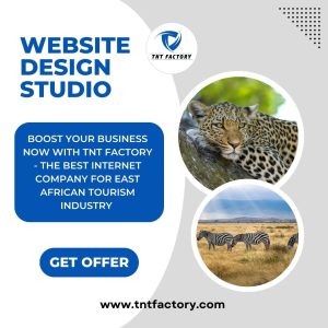 TNT Factory Website Design Studio