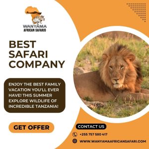 Best safari company