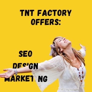 Tnt factory website design studio