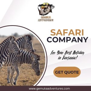 gemuka adventures safari