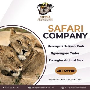 Gemuka Adventures Safari Company