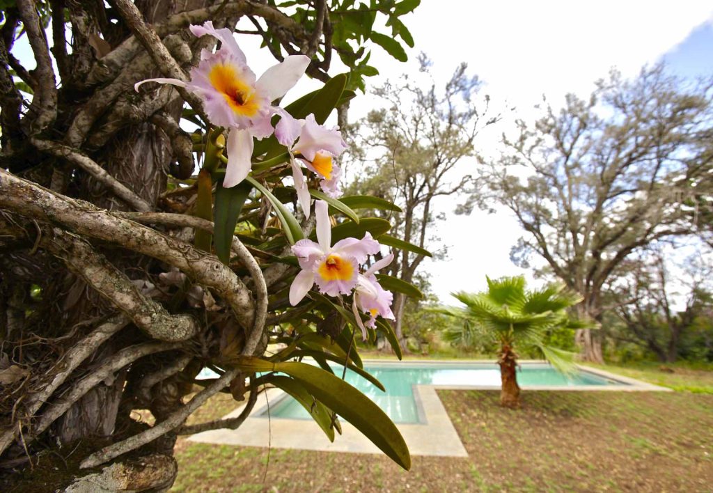 Magnificent private Villa in Sangananu, Tanzania