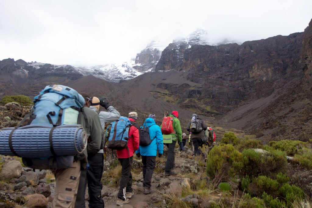 African Holiday - Kilimanjaro Trekking